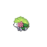 Shaymin-land
